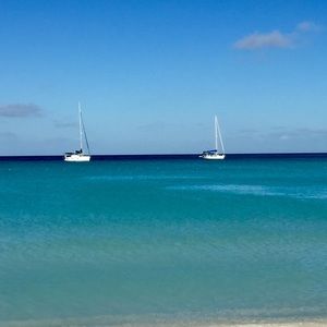 Meet your Posher, Alexa